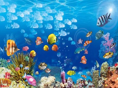 Tải file gốc File gốc đại đương biển DD411 (in khổ lớn) quảng cáo