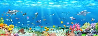 Download file gốc File gốc đại đương biển DD418 (in mica) trong suốt