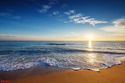 File tranh gốc File gốc đại đương biển DD444 (bản quyền) độc đáo