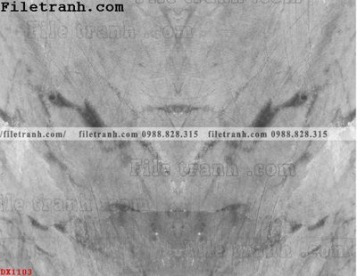 File tranh File vân đá đá cẩm thạch đối xứng DX1103 (ảnh gốc) sắc nét hoàn hảo