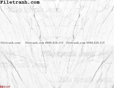 File tranh gốc File vân đá đá cẩm thạch đối xứng DX1137 (bản quyền) Filetranh.com