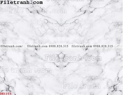 File in ấn File vân đá đá cẩm thạch đối xứng DX1153 chuyên nghiệp