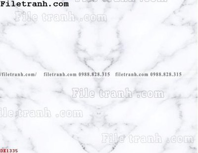 File tranh File vân đá đá cẩm thạch đối xứng DX1335 (gốc) chủ đề tĩnh vật