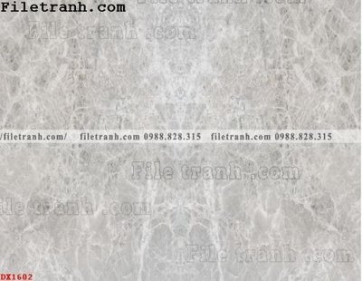 File gốc in tráng gương File vân đá đá cẩm thạch đối xứng DX1602 chi tiết