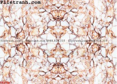 File ảnh gốc File vân đá đá cẩm thạch đối xứng DX1886 (chuyên in mica)