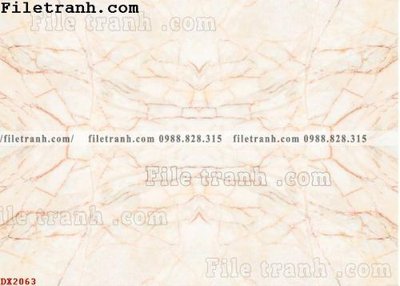 File tranh File vân đá đá cẩm thạch đối xứng DX2063 (gốc) in film