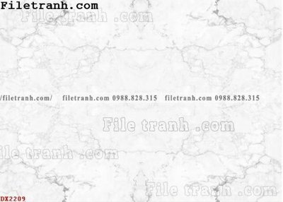 Hình ảnh file gốc in lụa File vân đá đá cẩm thạch đối xứng DX2209
