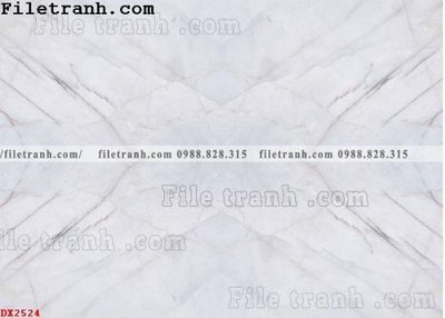 File in trần File vân đá đá cẩm thạch đối xứng DX2524 (bản gốc) 5D
