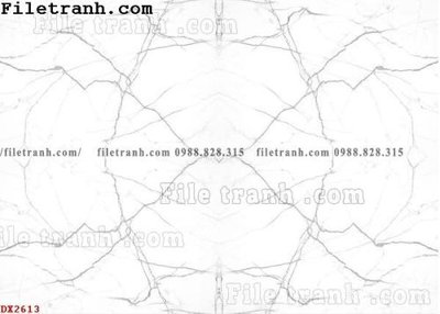 Download file gốc File vân đá đá cẩm thạch đối xứng DX2613 (độ nét cao)