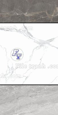 File gốc in ấn File in vân đá cẩm thạch thông tầng đứng DXD245 độ phân giải cao