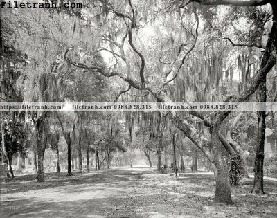 File tranh trang trí Daytona Beach_ 1910 (file gốc)