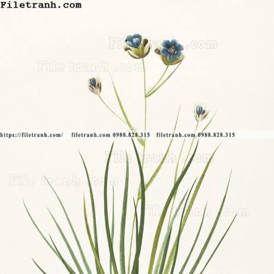 Tải file gốc Dong hoa va chim moi cua Trung Quoc 103 (bản PSD) còn layer