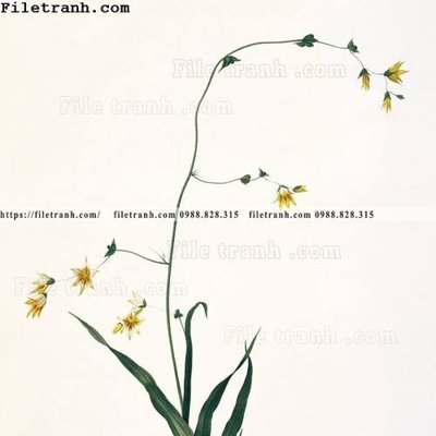 File ảnh Dong hoa va chim moi cua Trung Quoc 104 (gốc) in backdrop sự kiện