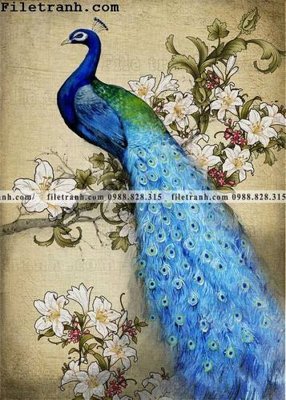 File PSD Dong hoa va chim moi cua Trung Quoc 135 (bản gốc) chất lượng nhất