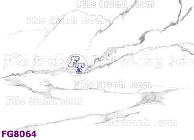 File in trần File gốc in đá cẩm thạch hiện đại FG8064 (bản gốc) 5D