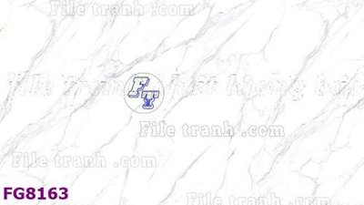 File ảnh File gốc in đá cẩm thạch hiện đại FG8163 (gốc) trang trí khách sạn