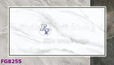 Ảnh gốc File gốc in đá cẩm thạch hiện đại FG8255 (siêu chi tiết) để in ấn