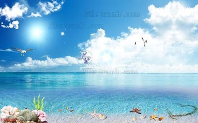 File in trần File in tranh tường 3D FT200955 (bản gốc) đại dương