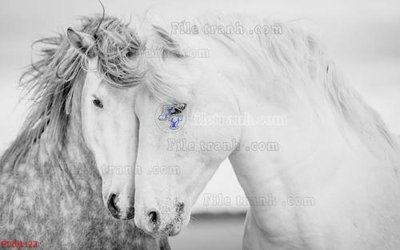 Tải file File in tranh tường 3D FT201122 (gốc) in trên mọi chất liệu