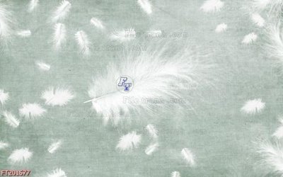 Mua file gốc File in tranh tường 3D FT201577 (PSD) tại Filetranh.com