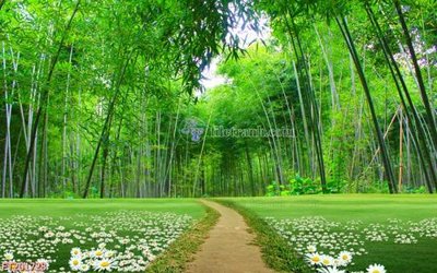 Ảnh gốc File in tranh tường 3D FT201728 (độ nét cao) in mica