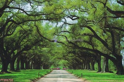 Download file File in tranh tường 3D FT201732 (gốc) in mica đèn LED