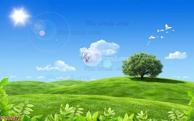 File ảnh File in tranh tường 3D FT202872 (gốc) cho trang trí nội thất