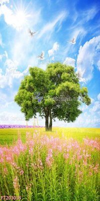 File in trần File in tranh tường 3D FT203018 (bản gốc) trời sao