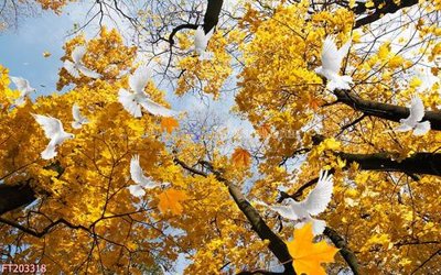 File gốc File in tranh tường 3D FT203318 (AI/EPS) cho in ấn