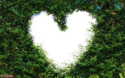 Tệp tin gốc File in tranh tường 3D FT205269 (dùng cho in ấn) chuyên nghiệp