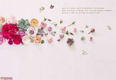 File gốc File in tranh tường 3D FT205450 (cho in ấn) từ Filetranh.com