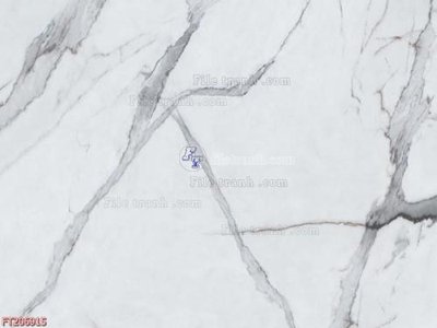 File gốc File in tranh tường 3D FT206915 (in lụa) hoa văn cổ điển