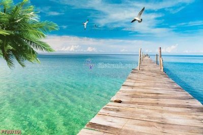 File in trần File in tranh tường 3D FT207101 (bản gốc) đại dương