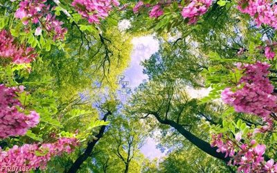 File gốc File in tranh tường 3D FT207132 (ảnh rõ nét) để in