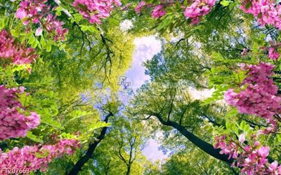 File in trần File in tranh tường 3D FT207663 (bản gốc) hoa văn