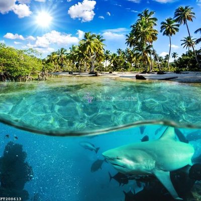 File gốc File in tranh tường 3D FT208613 (phiên bản chuẩn) để in ấn