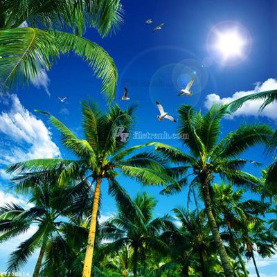 Tải file gốc File in tranh tường 3D FT208614 (in tráng gương) 5DFile gốc File in tranh tường 3D FT208614 (in ấn) phiên bản premium