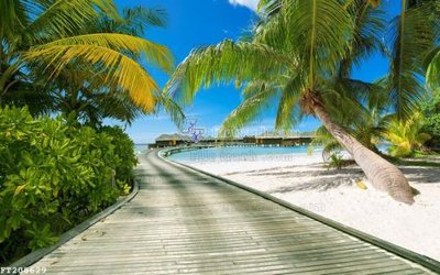 File ảnh gốc File in tranh tường 3D FT208629 không vỡ nét