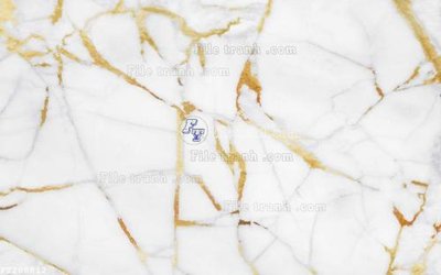 File gốc in tráng gương File in tranh tường 3D FT208812 chi tiết