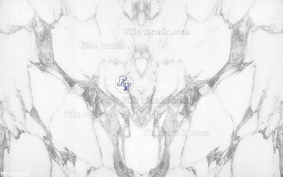 File gốc File in tranh tường 3D FT209760 (in lụa) họa tiết 3D