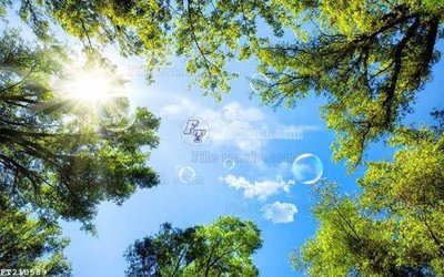 File tranh File in tranh tường 3D FT210589 (gốc) chủ đề tĩnh vật