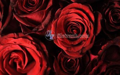 File in ấn File in tranh tường hiện đại FT23442 (bản gốc) từ file gốc