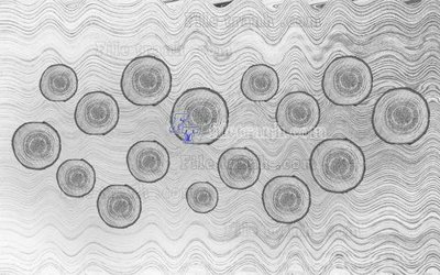 File ảnh File in tranh tường hiện đại FT23451 (gốc) in decal dán tường