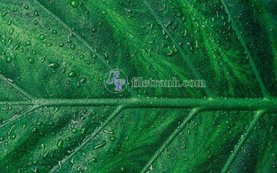 File PSD File in tranh tường hiện đại FT23460 (chất lượng in ấn)