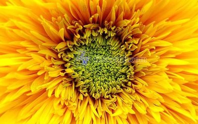 Tải file PSD File in tranh tường hiện đại FT23494 (nguyên layer) để in