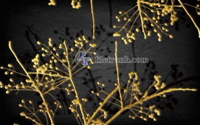 File tranh File in tranh tường hiện đại FT23613 (file gốc) chuẩn màu in