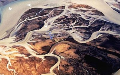 File in lụa File in tranh tường hiện đại FT24269 (hoa văn) File in tranh tường hiện đại FT24269