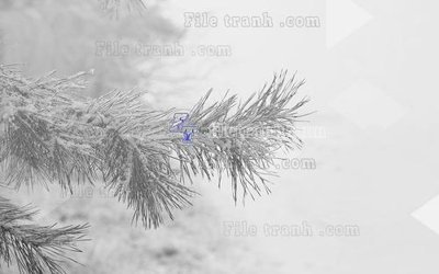 Tải file gốc in lụa File in tranh tường hiện đại FT24534 siêu nét