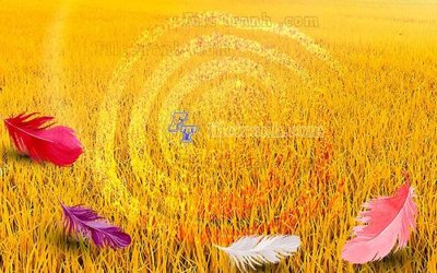 Tải file gốc in lụa File in tranh tường hiện đại FT24558 siêu nét