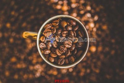 File gốc File psd tường quán cà phê FT2800 (ảnh chi tiết) để in lụa